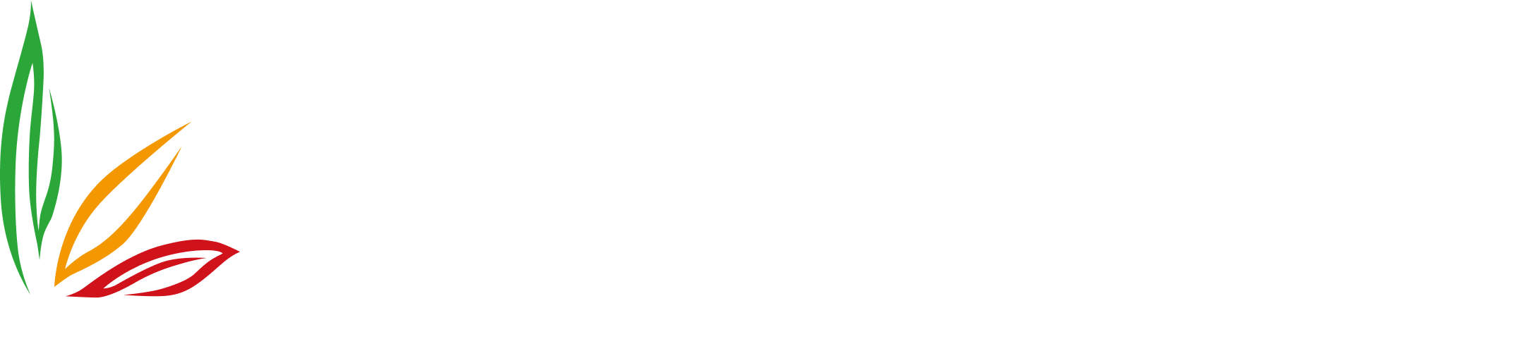 てくのインシュアランス株式会社（てくの保険）